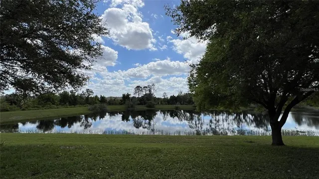a view of a garden with a tree
