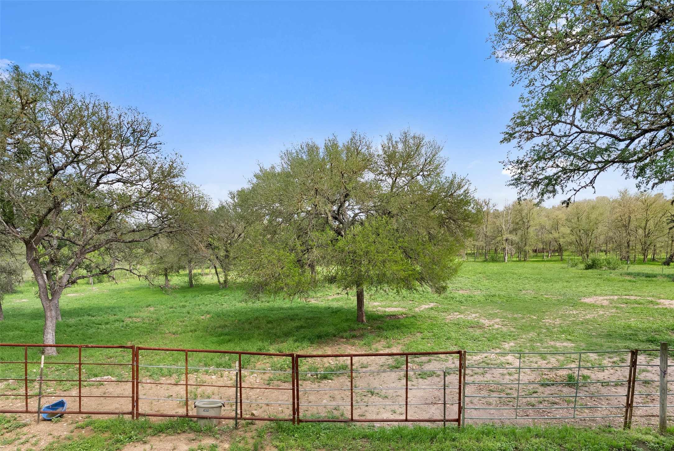 274 Old Austin Trail Elgin, TX 78621 - Photo 27 of 32 a view of grassy field with grass and trees