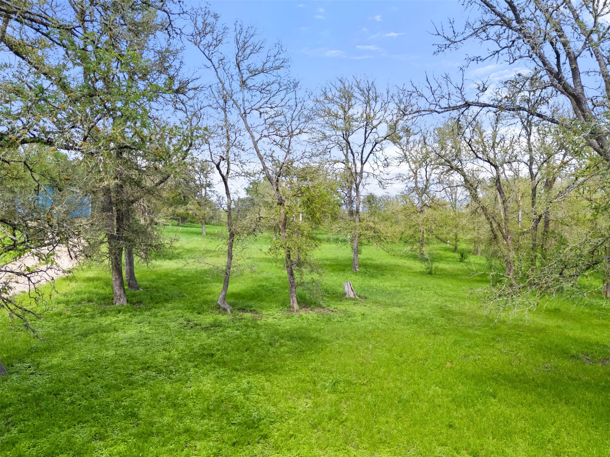 274 Old Austin Trail Elgin, TX 78621 - Photo 28 of 32 a view of a park with large trees
