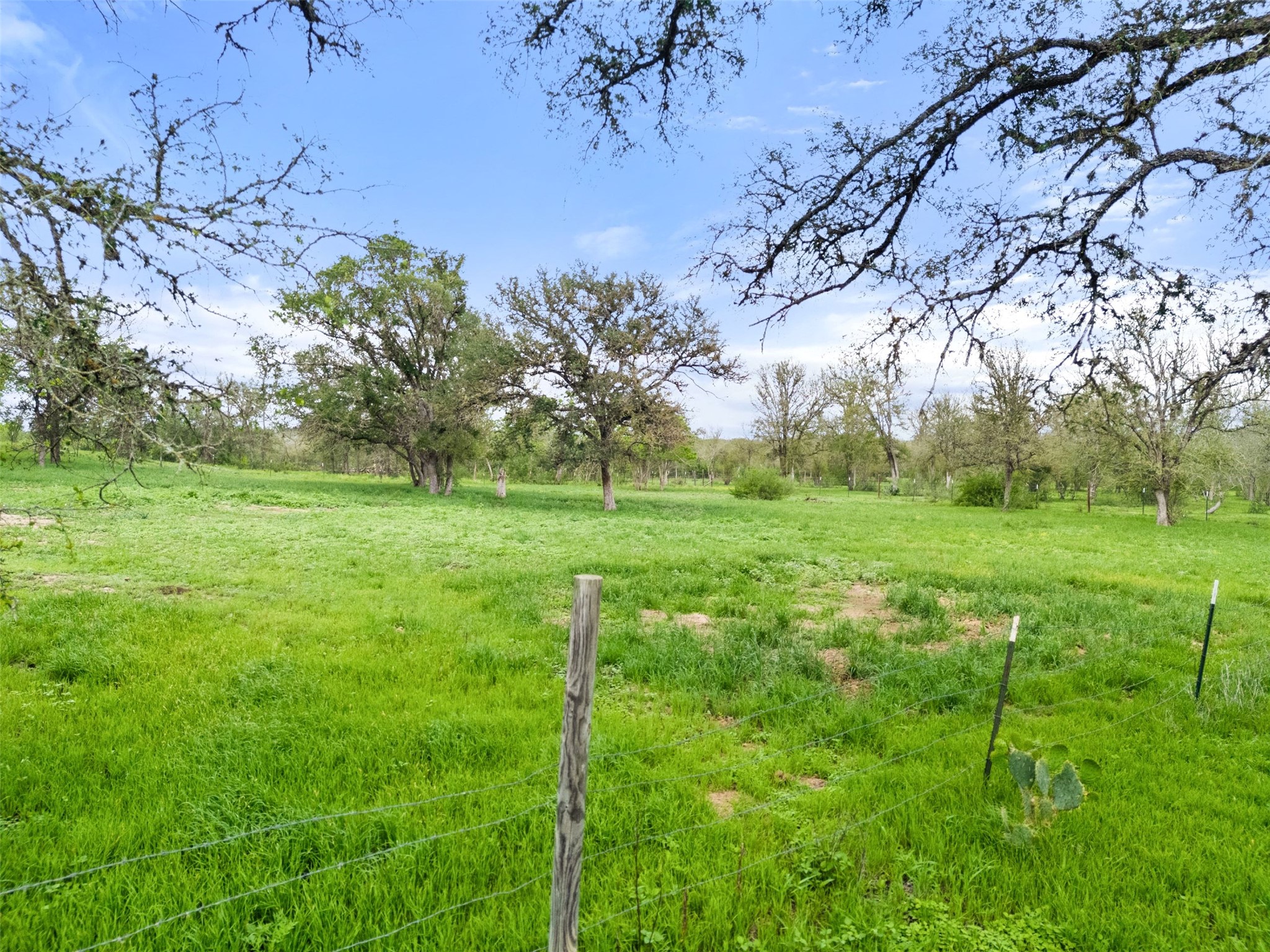274 Old Austin Trail Elgin, TX 78621 - Photo 29 of 32 a view of a field with a tree