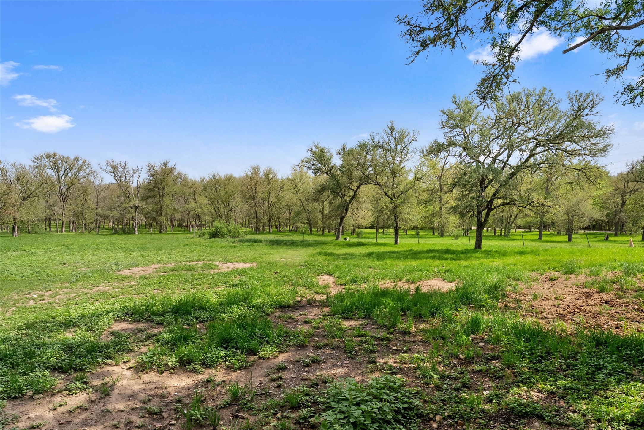 274 Old Austin Trail Elgin, TX 78621 - Photo 31 of 32 a view of a park with large trees