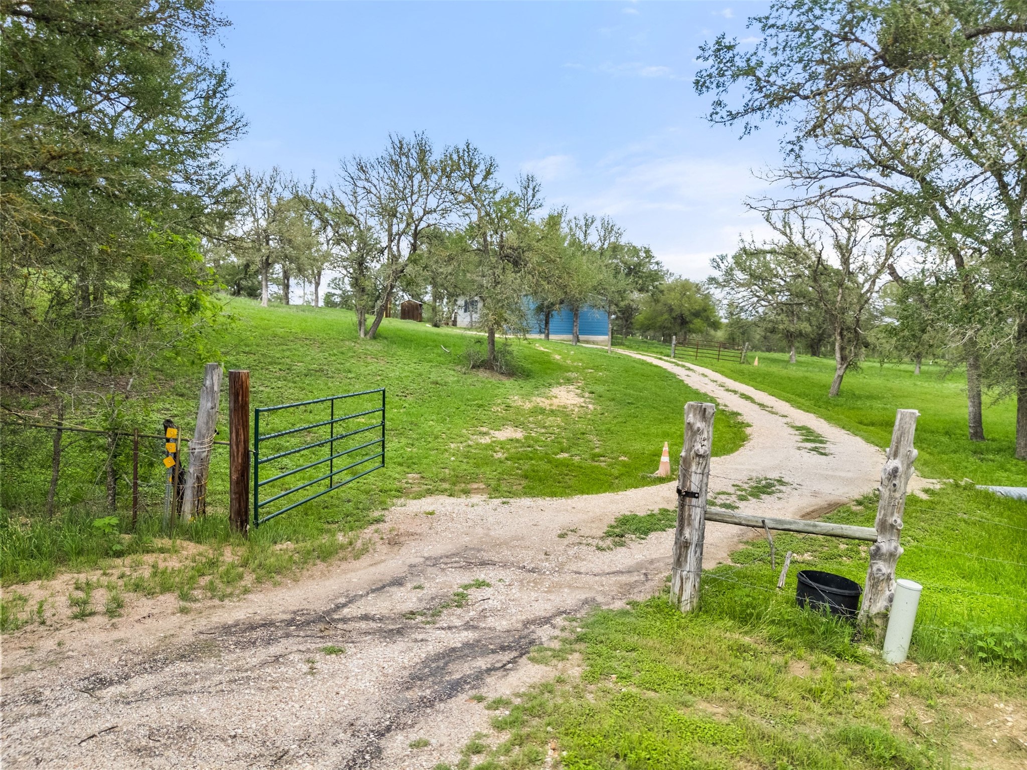 274 Old Austin Trail Elgin, TX 78621 - Photo 8 of 32 a view of a park with plants and trees