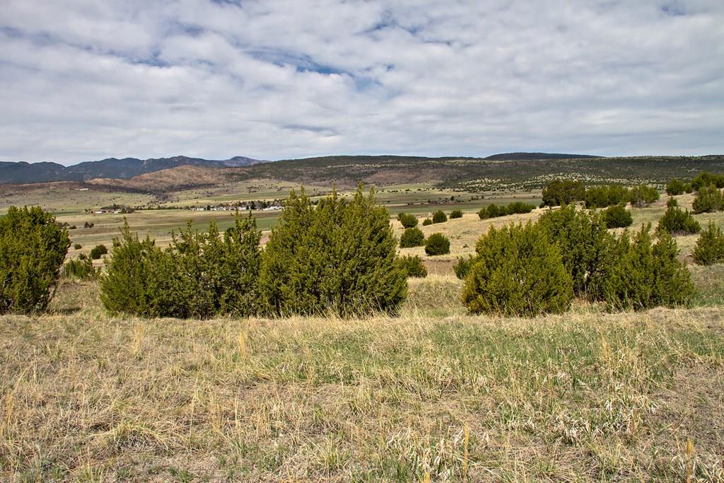 Tbd Garrett Road Beulah, CO 81023 - Photo 21 of 42 Gallery Image 21