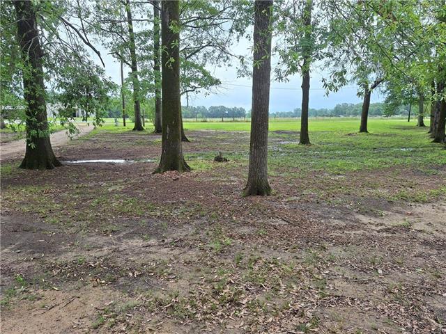 80 Sullivan Acres Road Columbia, LA 71418 - Photo 10 of 38