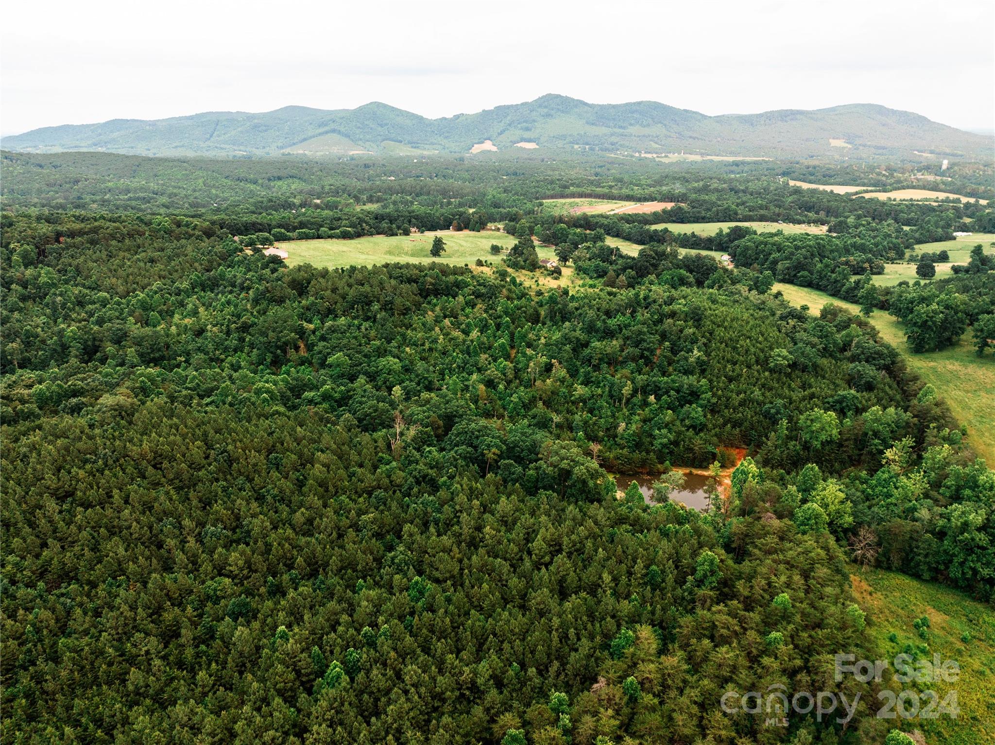 931 Waters Road Bostic, NC 28018 - Photo 5 of 22 a view of a town with trees in the background