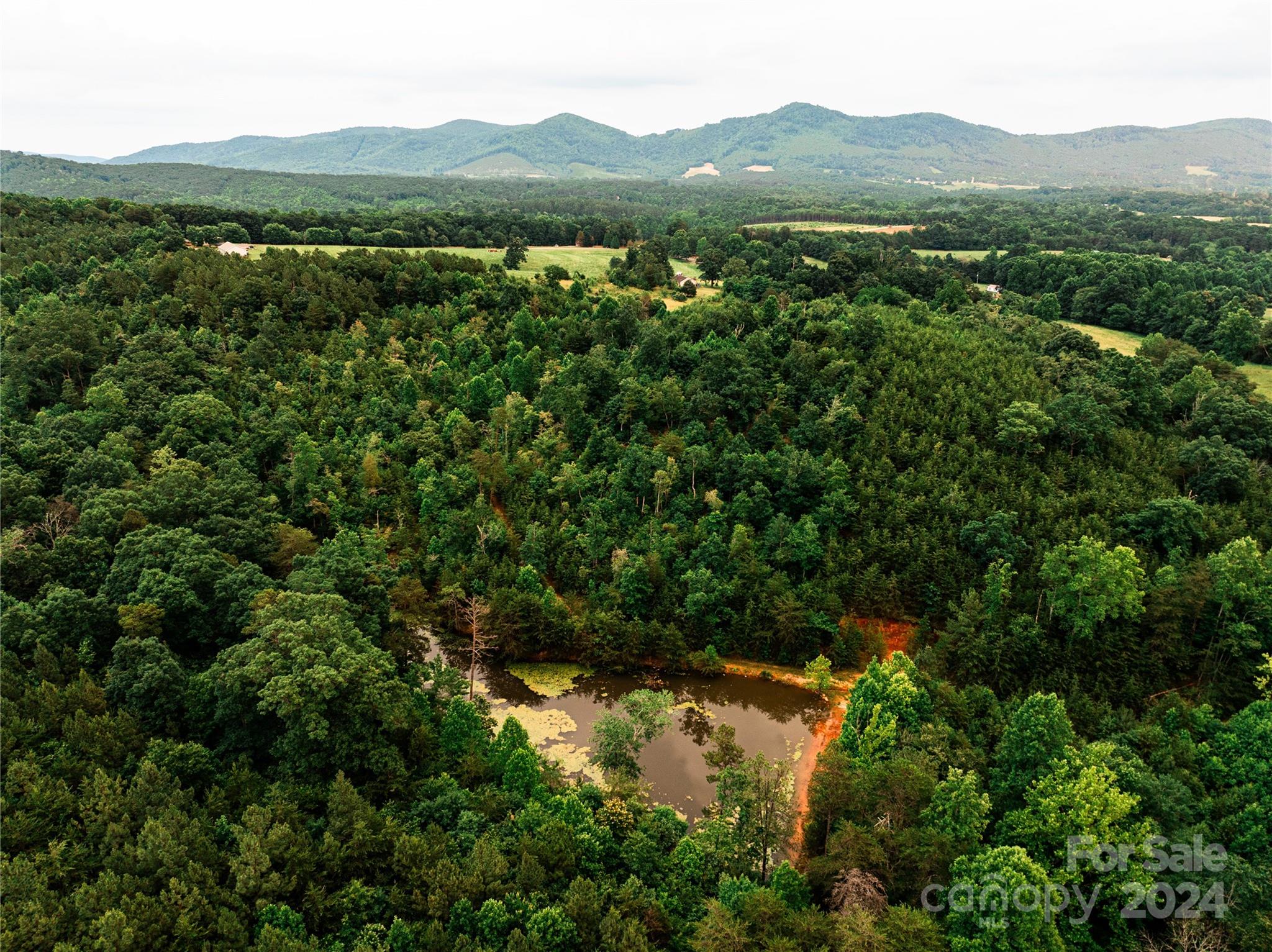 931 Waters Road Bostic, NC 28018 - Photo 6 of 22 a view of lake with mountain