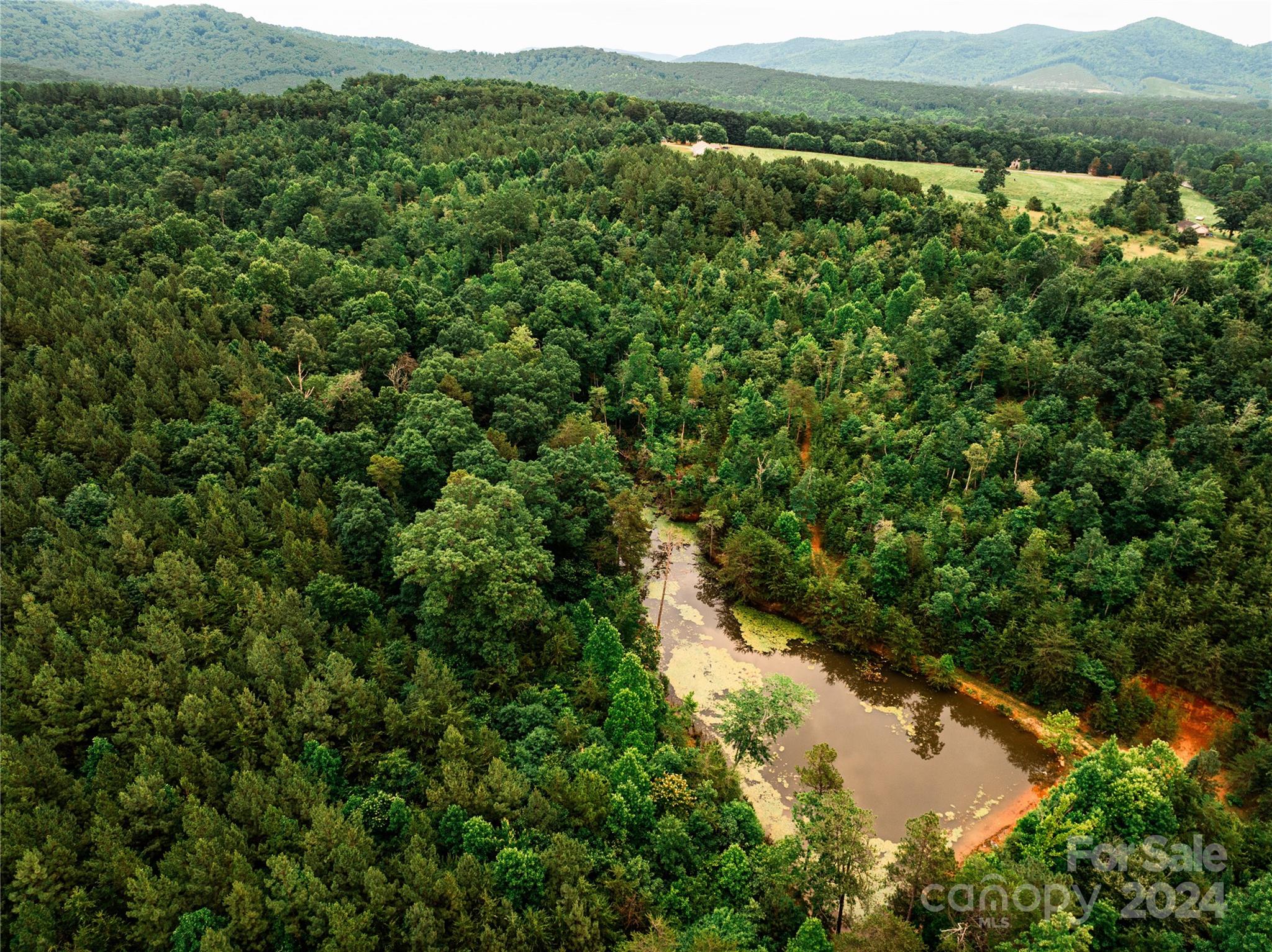 931 Waters Road Bostic, NC 28018 - Photo 7 of 22 a view of a lake with a mountain in the back