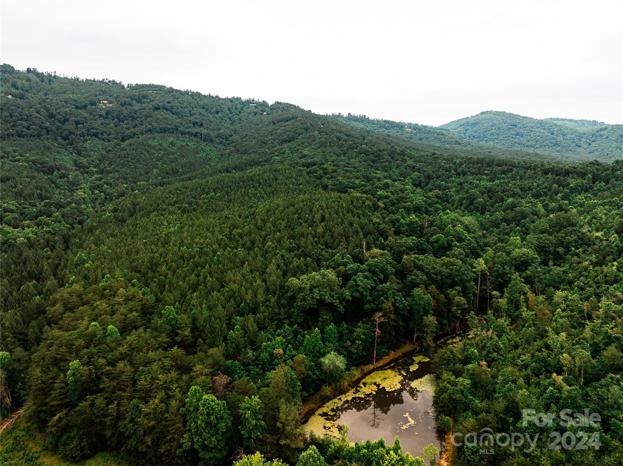 931 Waters Road Bostic, NC 28018 - Photo 8 of 22 a view of a mountain with a lush green forest