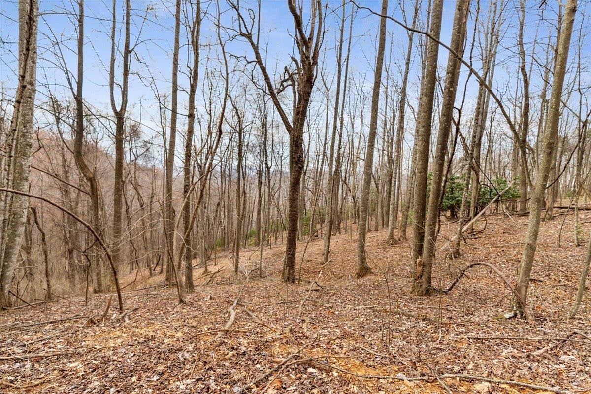 193 Timber Creek Road Stuart, VA 24171 - Photo 64 of 87 Gallery Image 64