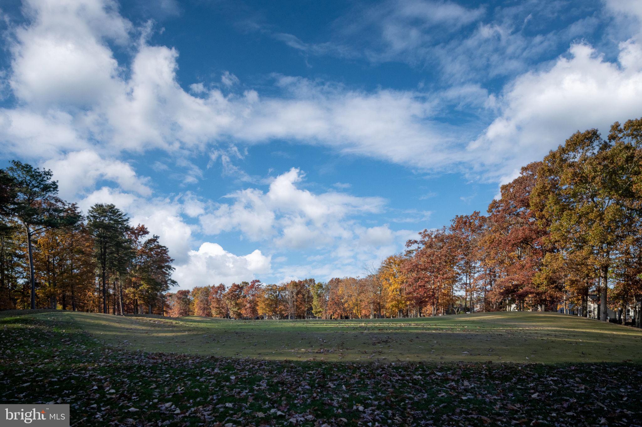 10816 Chatham Ridge Way Spotsylvania, VA 22551 - Photo 56 of 101