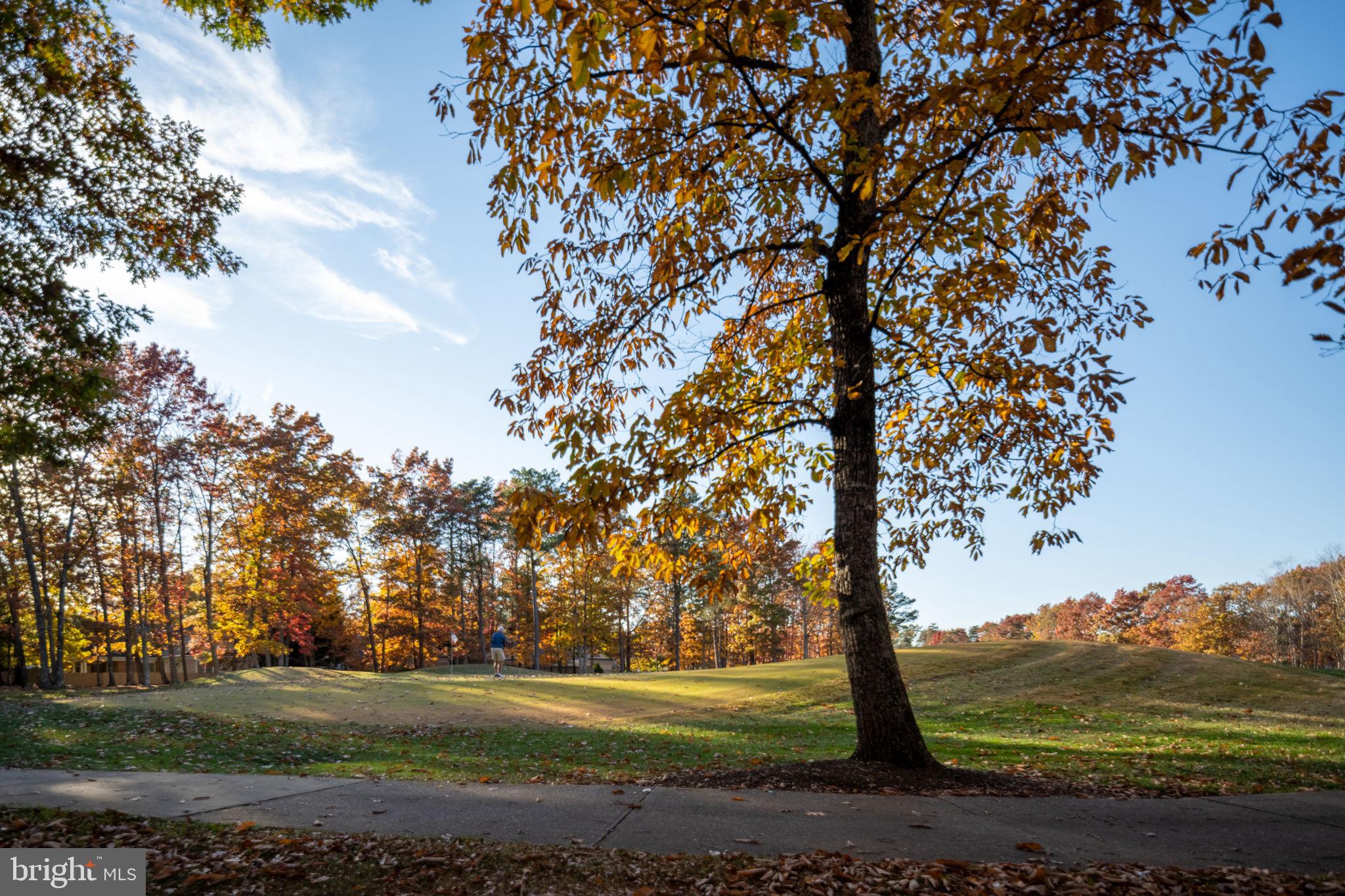 10816 Chatham Ridge Way Spotsylvania, VA 22551 - Photo 57 of 101