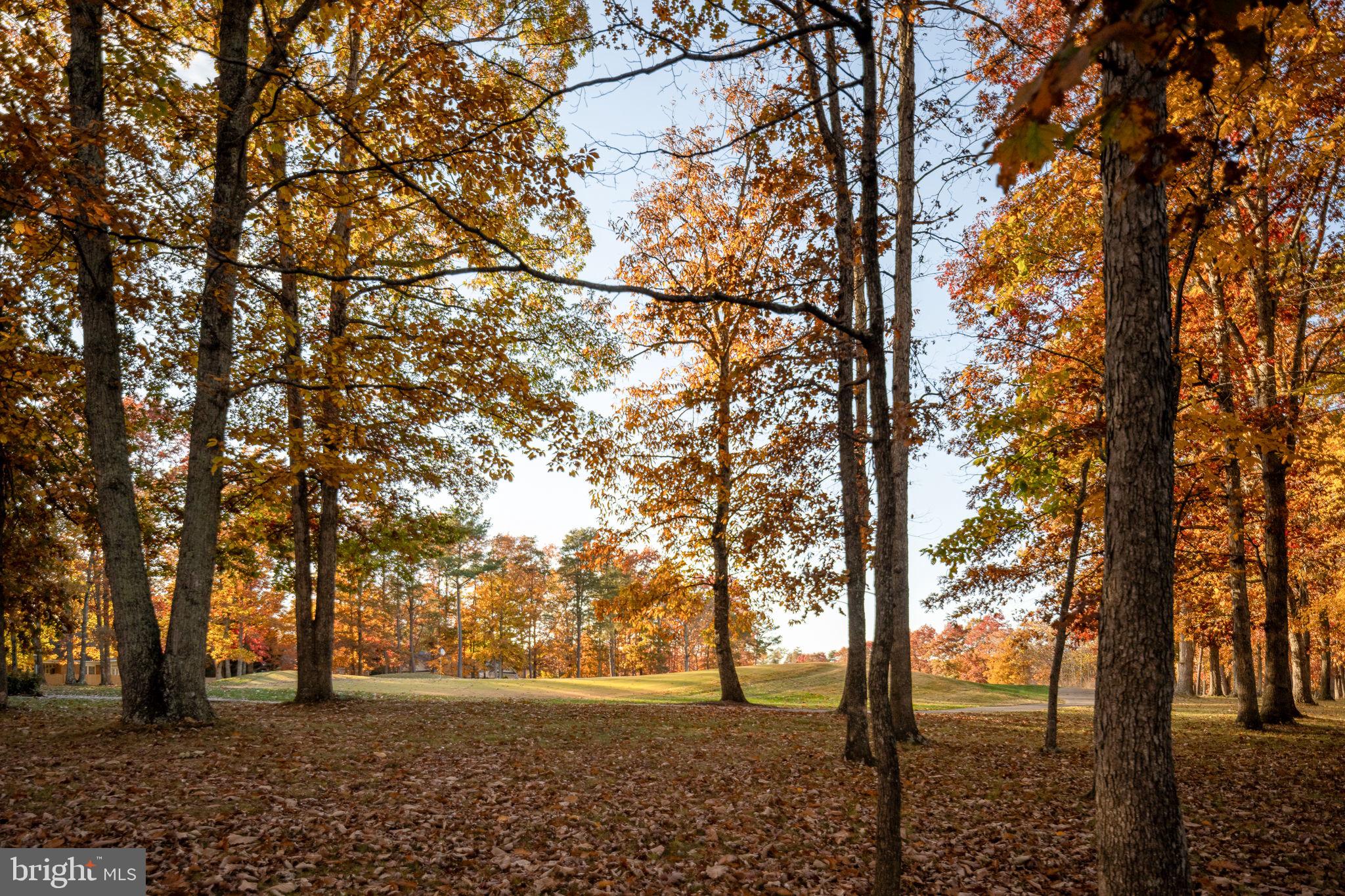 10816 Chatham Ridge Way Spotsylvania, VA 22551 - Photo 64 of 101 a view of outdoor space with trees
