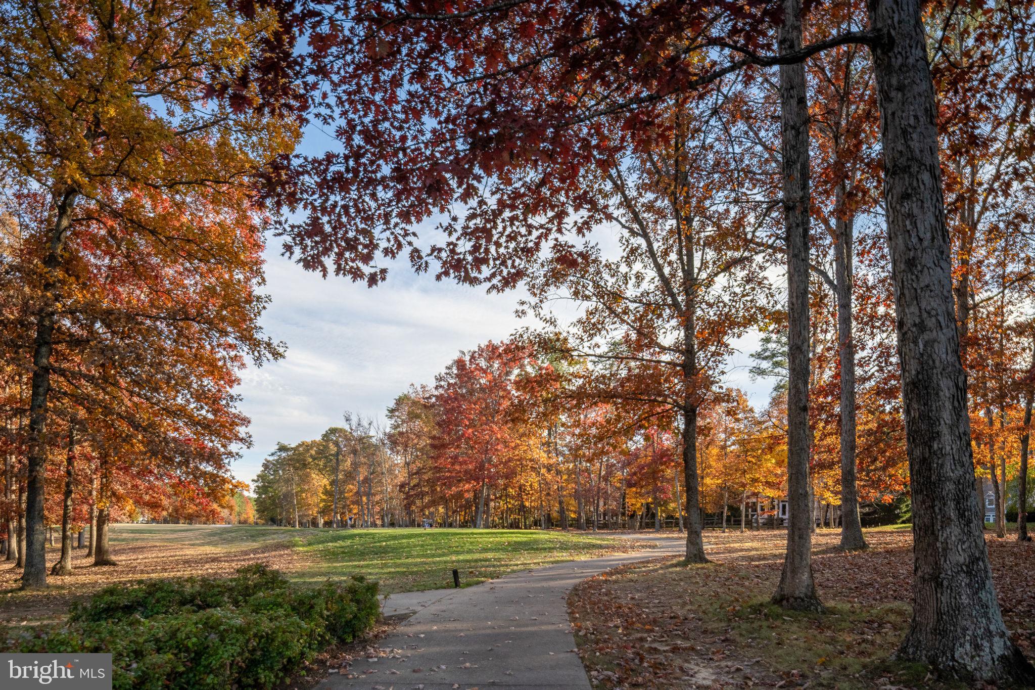 10816 Chatham Ridge Way Spotsylvania, VA 22551 - Photo 66 of 101 a view of grassy field with benches