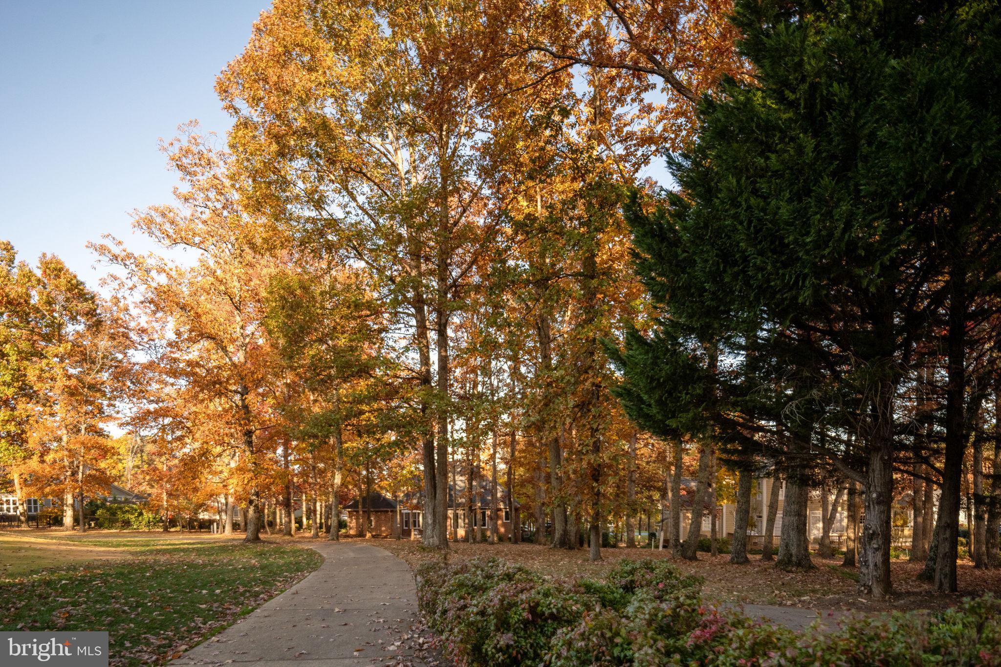 10816 Chatham Ridge Way Spotsylvania, VA 22551 - Photo 67 of 101
