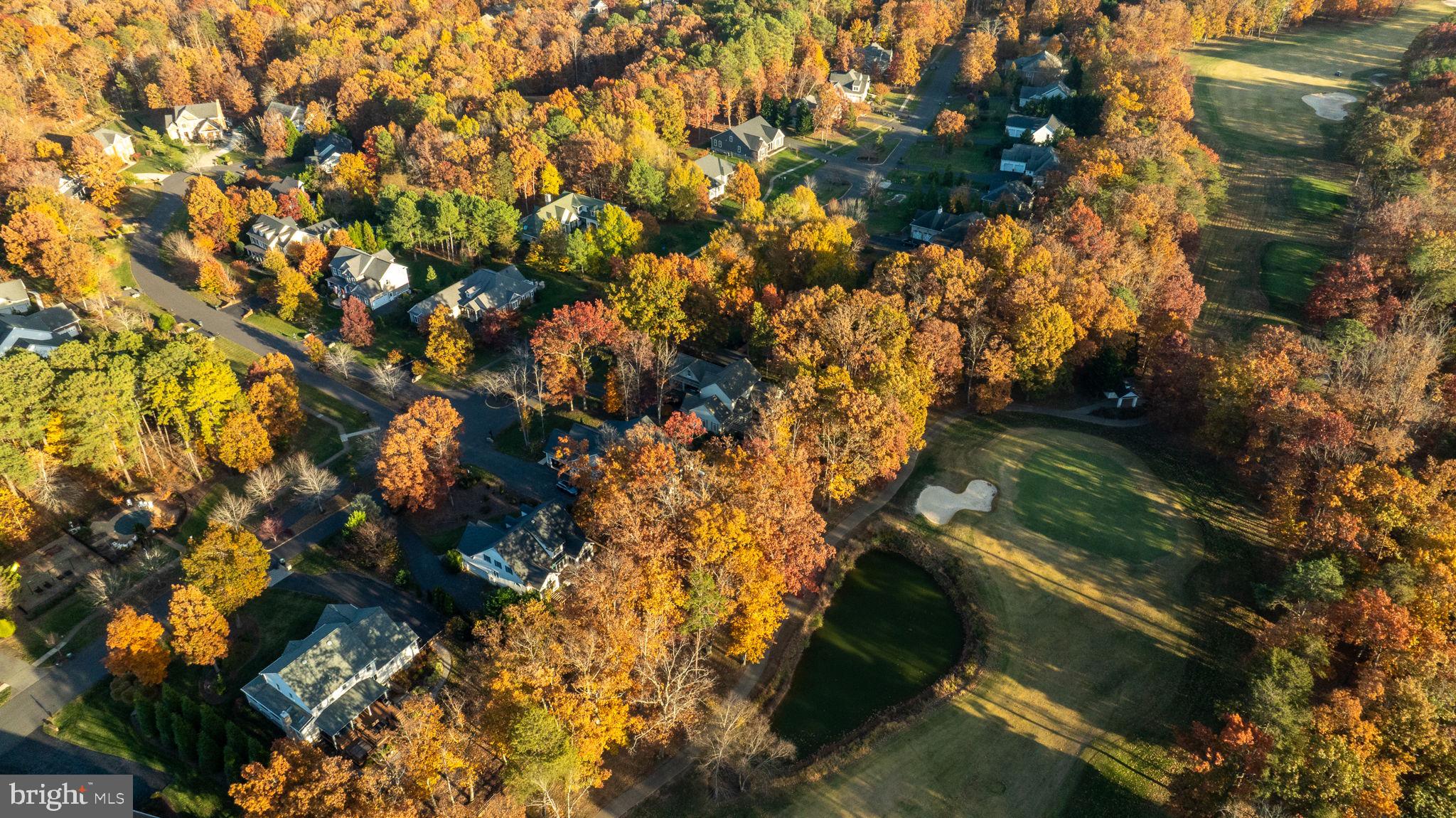10816 Chatham Ridge Way Spotsylvania, VA 22551 - Photo 78 of 101