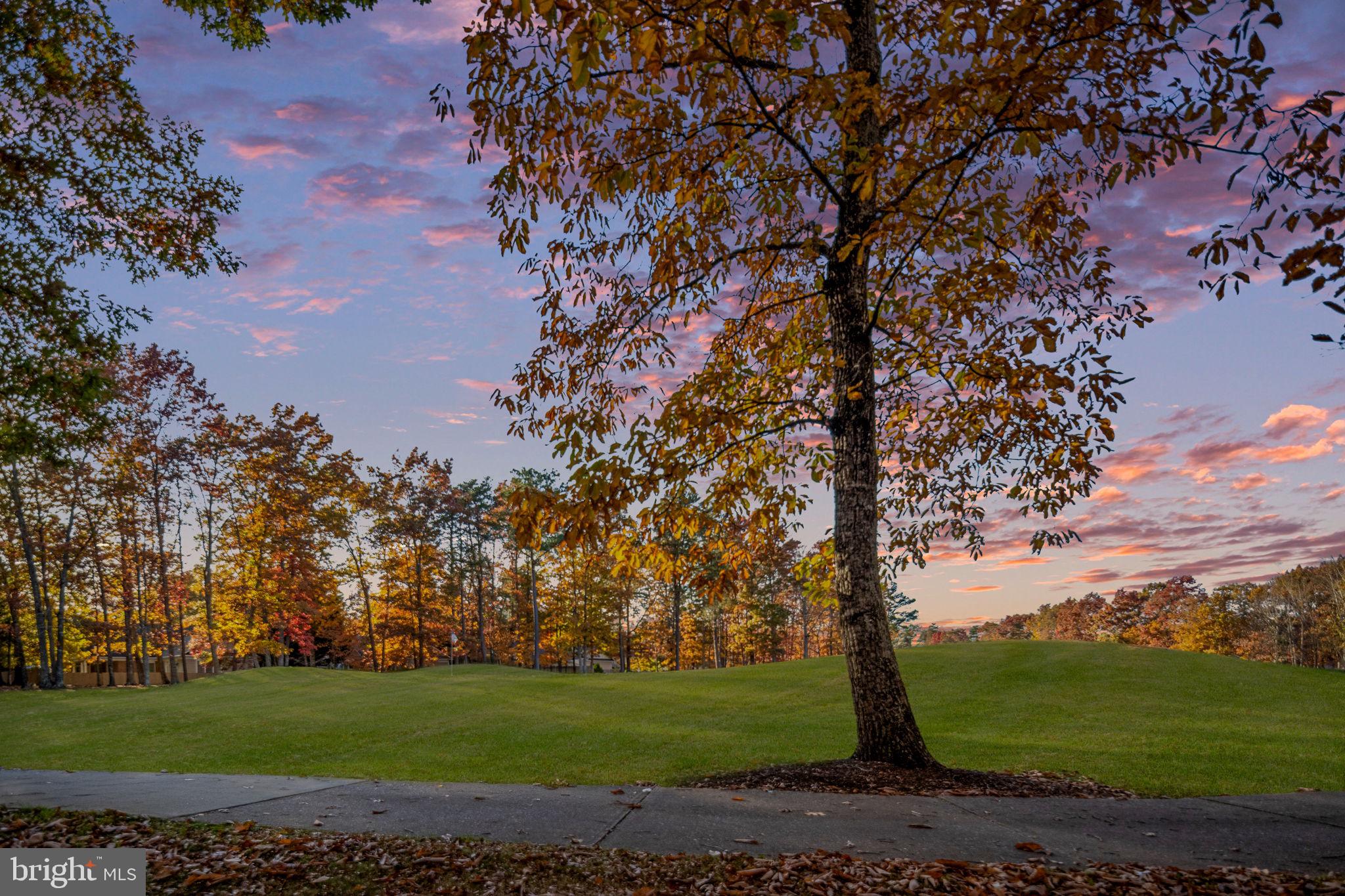 10816 Chatham Ridge Way Spotsylvania, VA 22551 - Photo 80 of 101