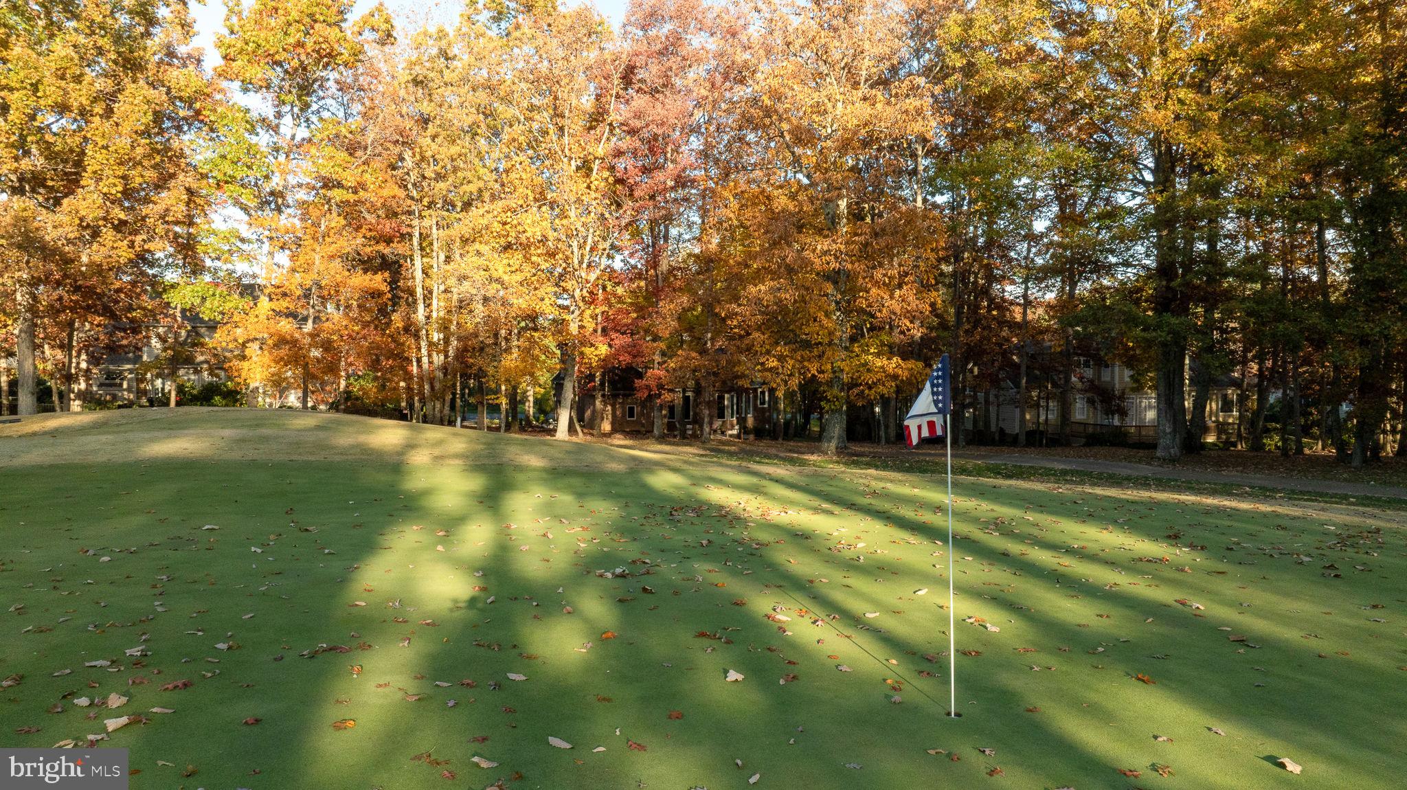 10816 Chatham Ridge Way Spotsylvania, VA 22551 - Photo 85 of 101 a view of a golf course