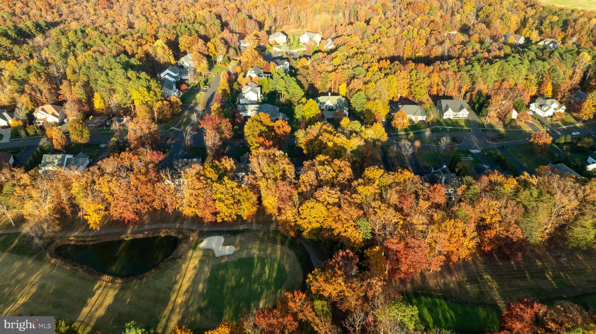10816 Chatham Ridge Way Spotsylvania, VA 22551 - Photo 91 of 101
