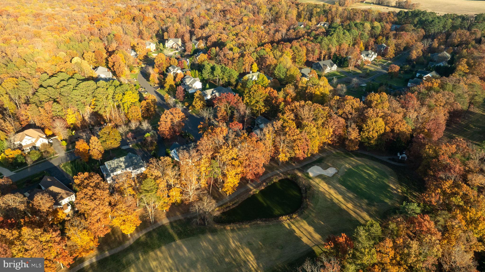 10816 Chatham Ridge Way Spotsylvania, VA 22551 - Photo 92 of 101