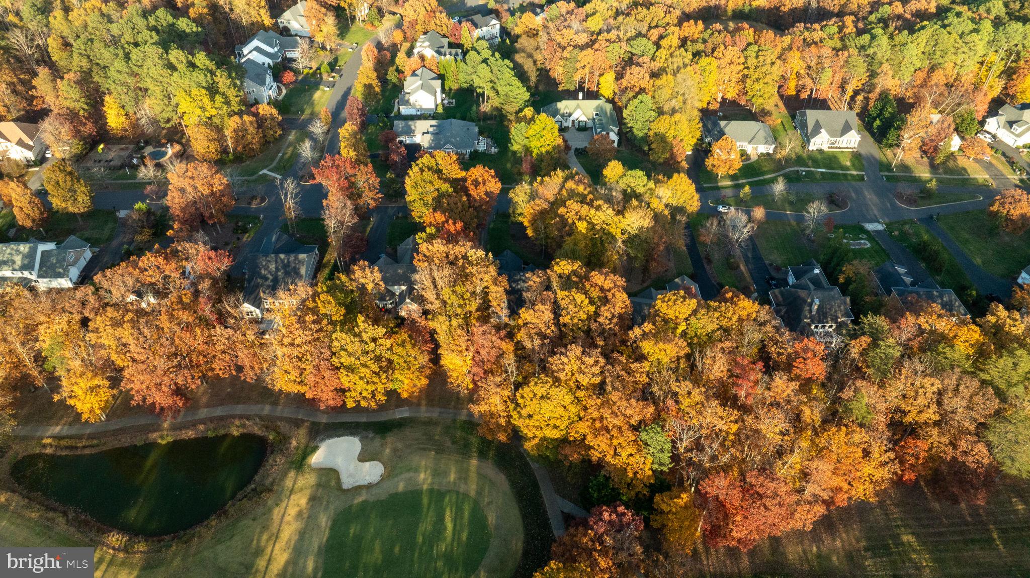10816 Chatham Ridge Way Spotsylvania, VA 22551 - Photo 93 of 101