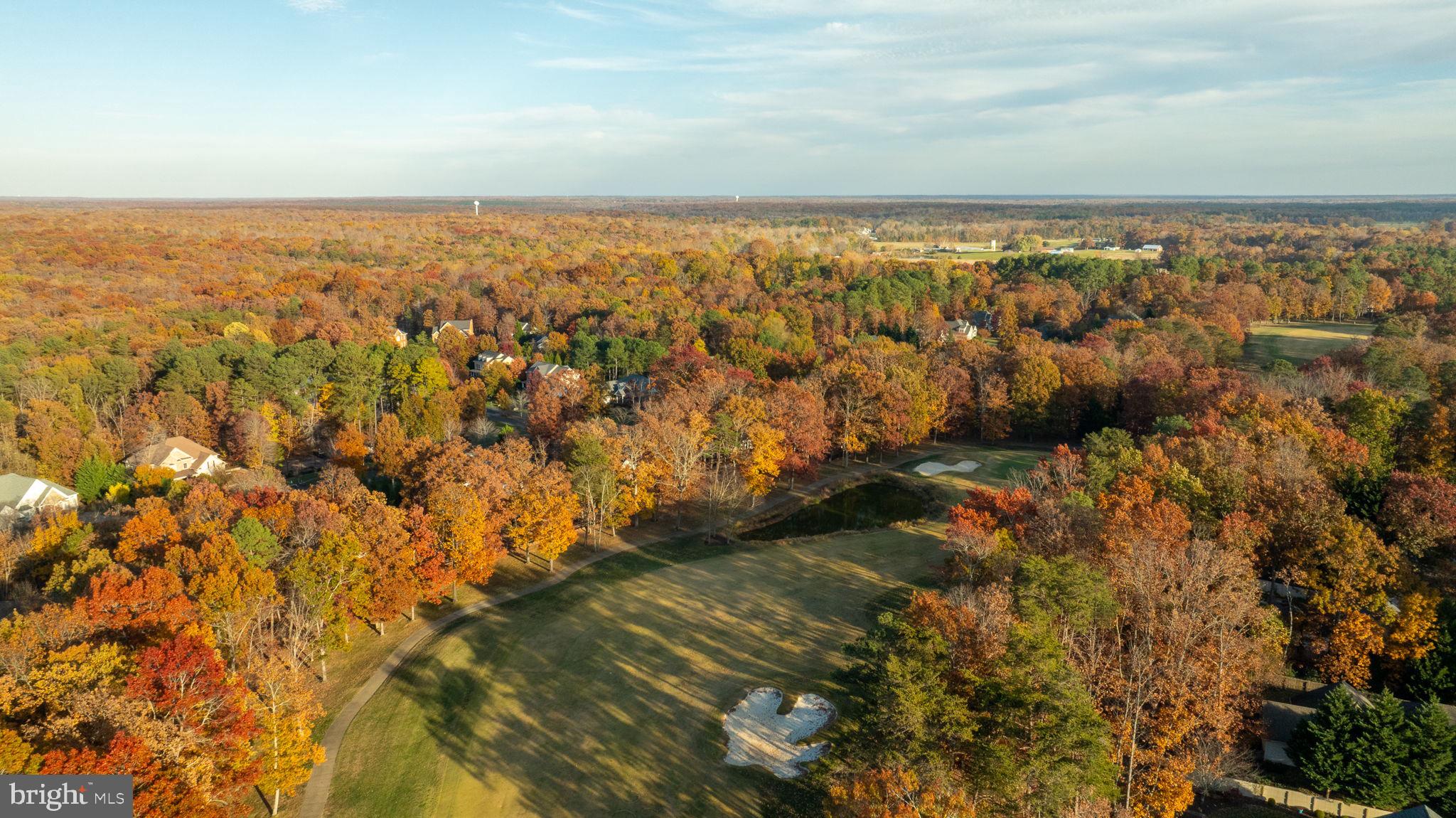 10816 Chatham Ridge Way Spotsylvania, VA 22551 - Photo 94 of 101
