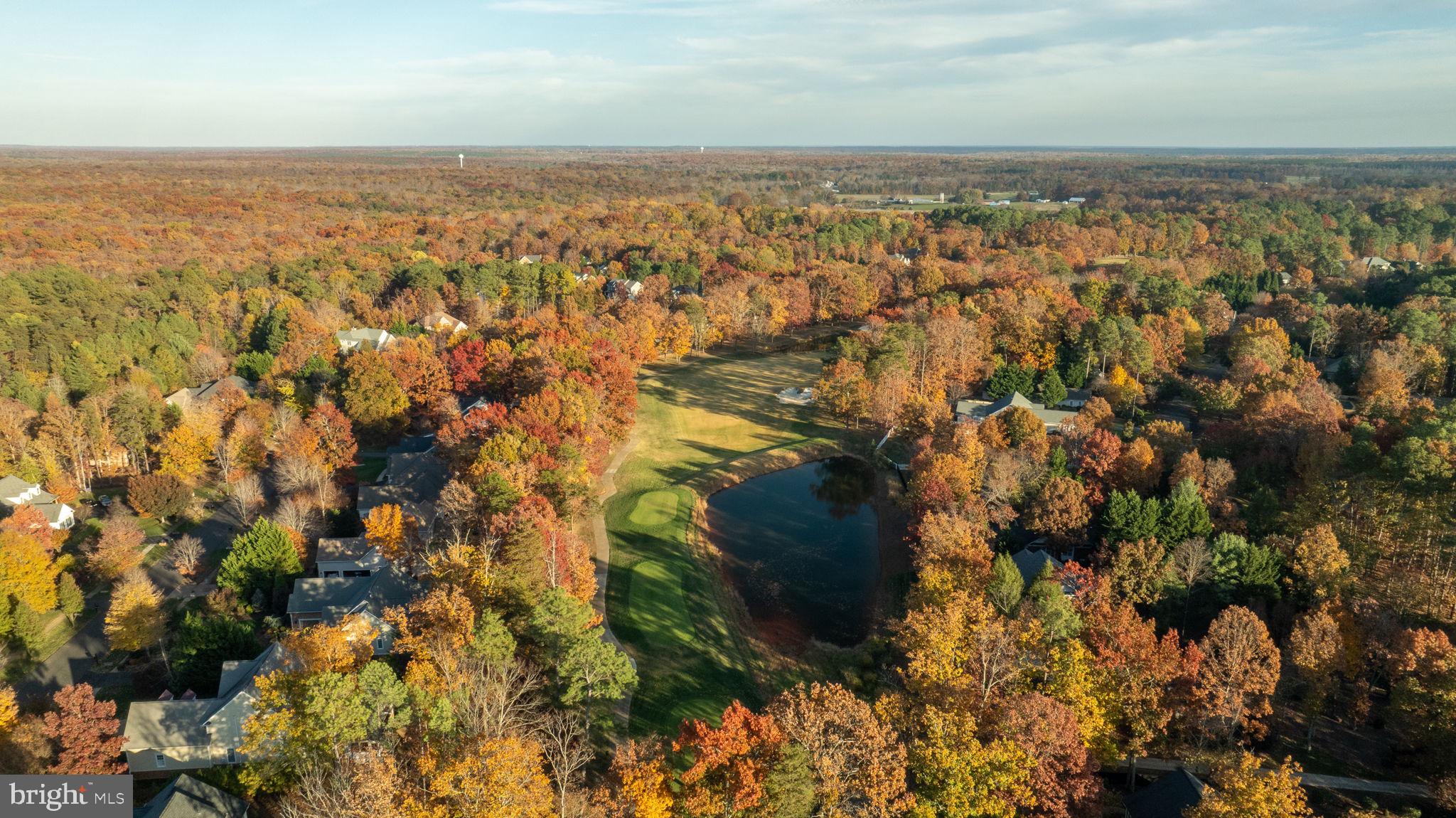 10816 Chatham Ridge Way Spotsylvania, VA 22551 - Photo 95 of 101