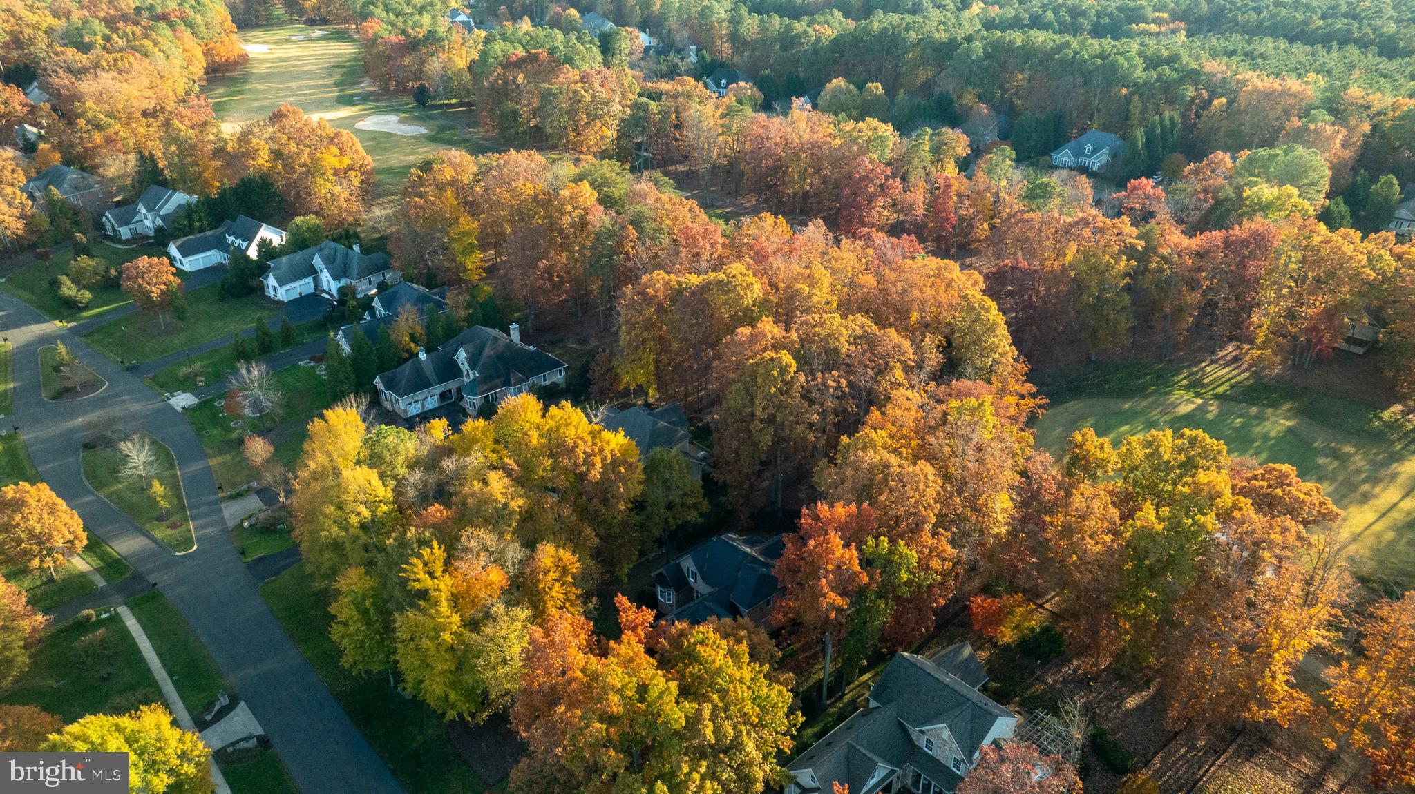 10816 Chatham Ridge Way Spotsylvania, VA 22551 - Photo 96 of 101 a view of lake from yard