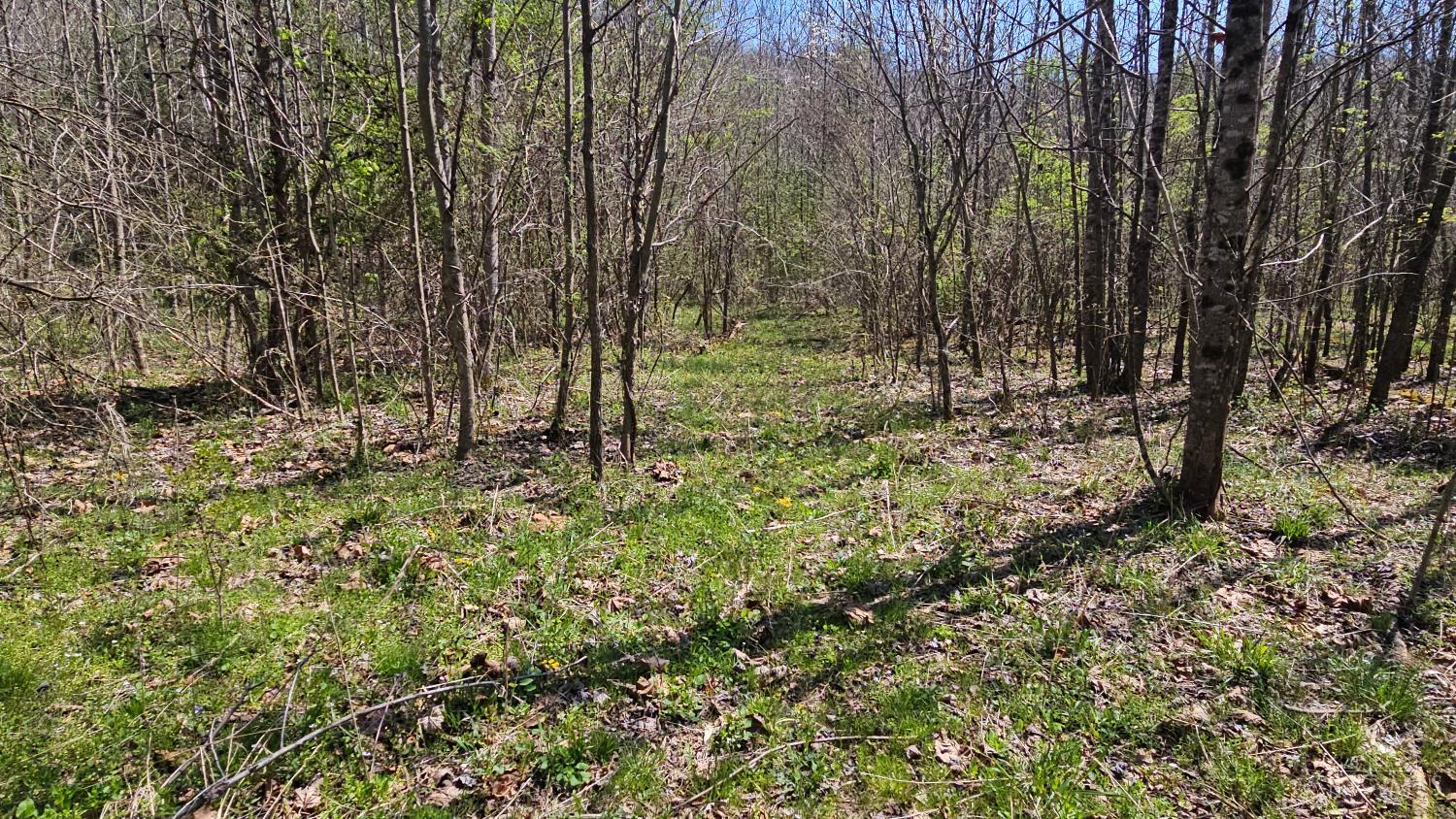 0 Spruce Hollow Road South Webster, OH 45682 - Photo 54 of 54