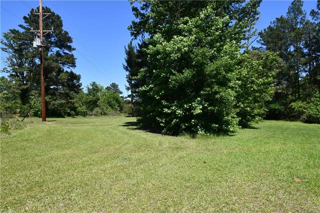 115 Nelms Loop Colfax, LA 71417 - Photo 12 of 24