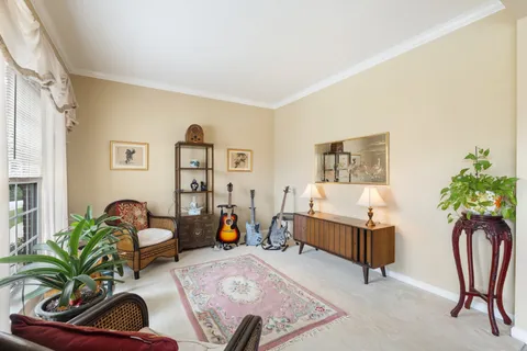 a living room with furniture and a potted plant