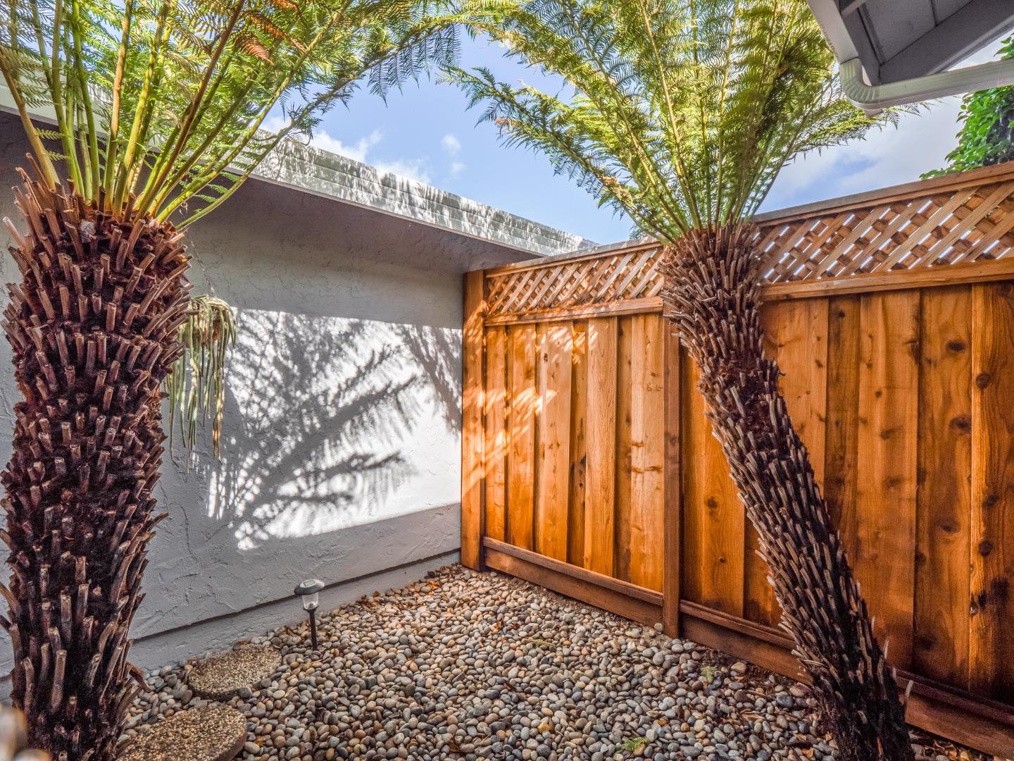 280 Marlin Court Aptos, CA 95003 - Photo 26 of 43 a view of backyard with tree