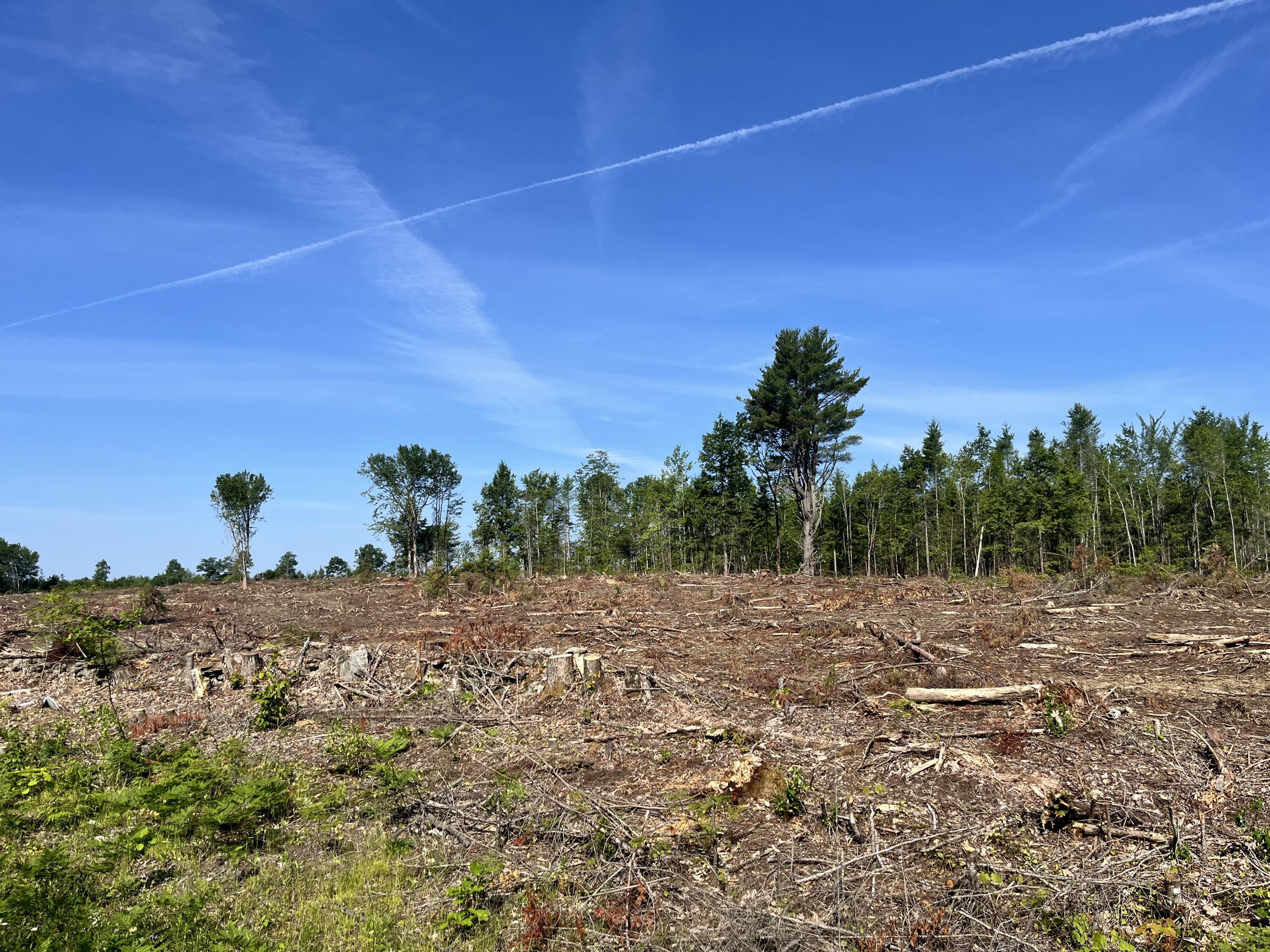 256 Merrill Road Levant, ME 04456 - Photo 4 of 4 IMG_1338