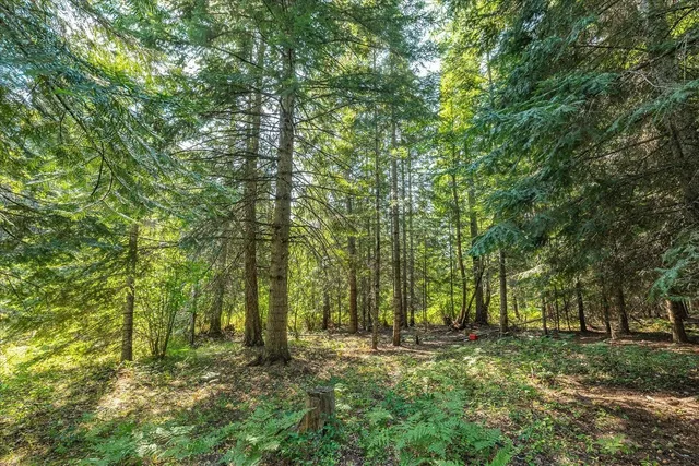 $420,000 | 482 McCammon Drive, Elk, WA 99009