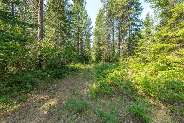 $420,000 | 482 McCammon Drive, Elk, WA 99009