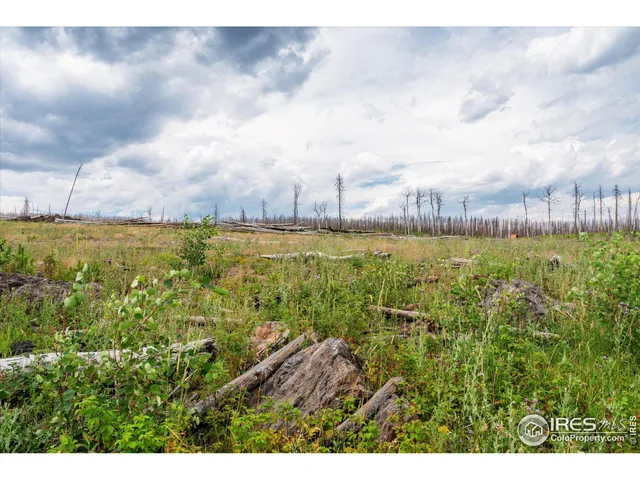 a view of a lake with a big yard
