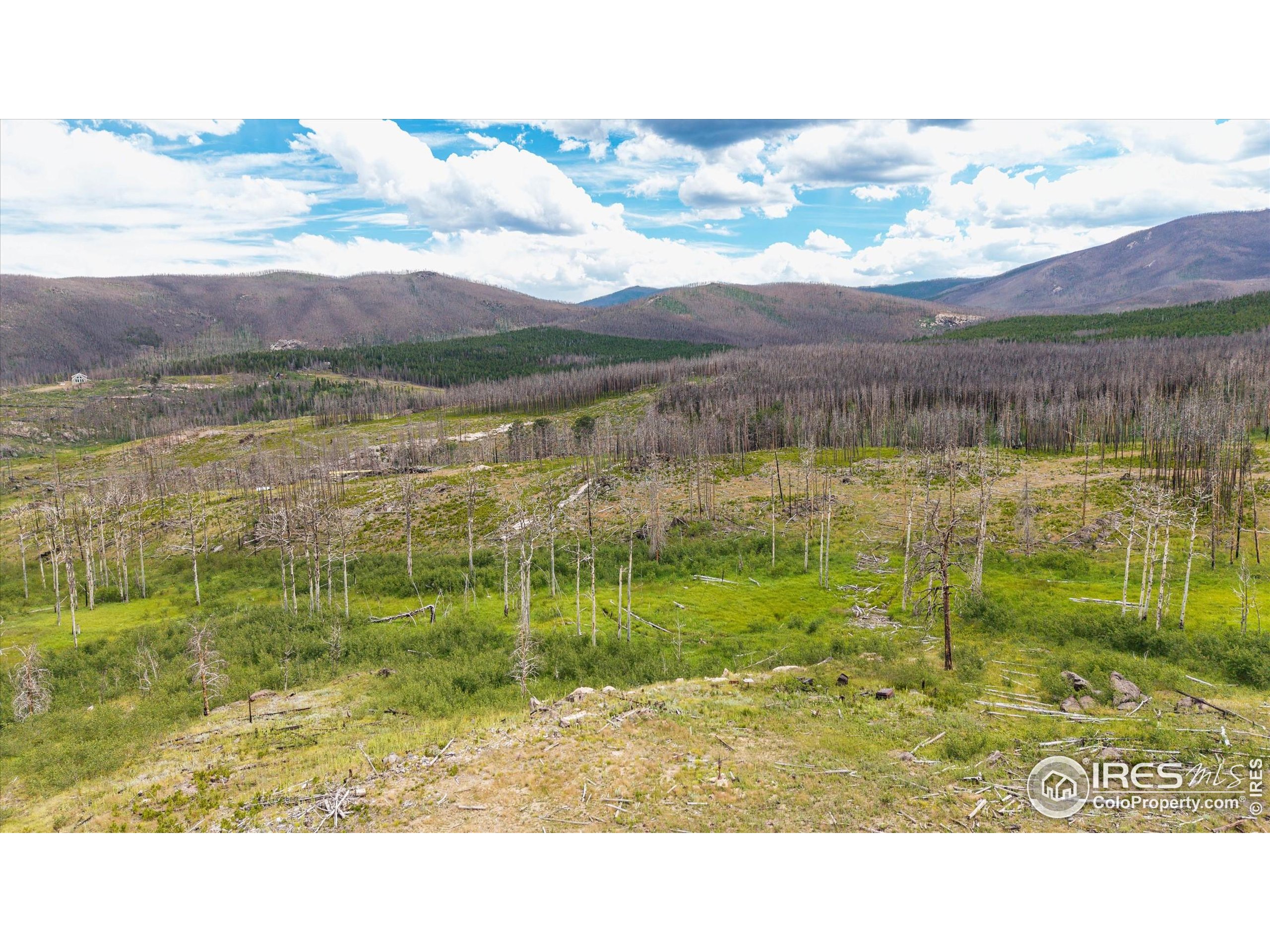 529 Quartz Road Bellvue, CO 80512 - Photo 16 of 31 a view of a lake with a mountain