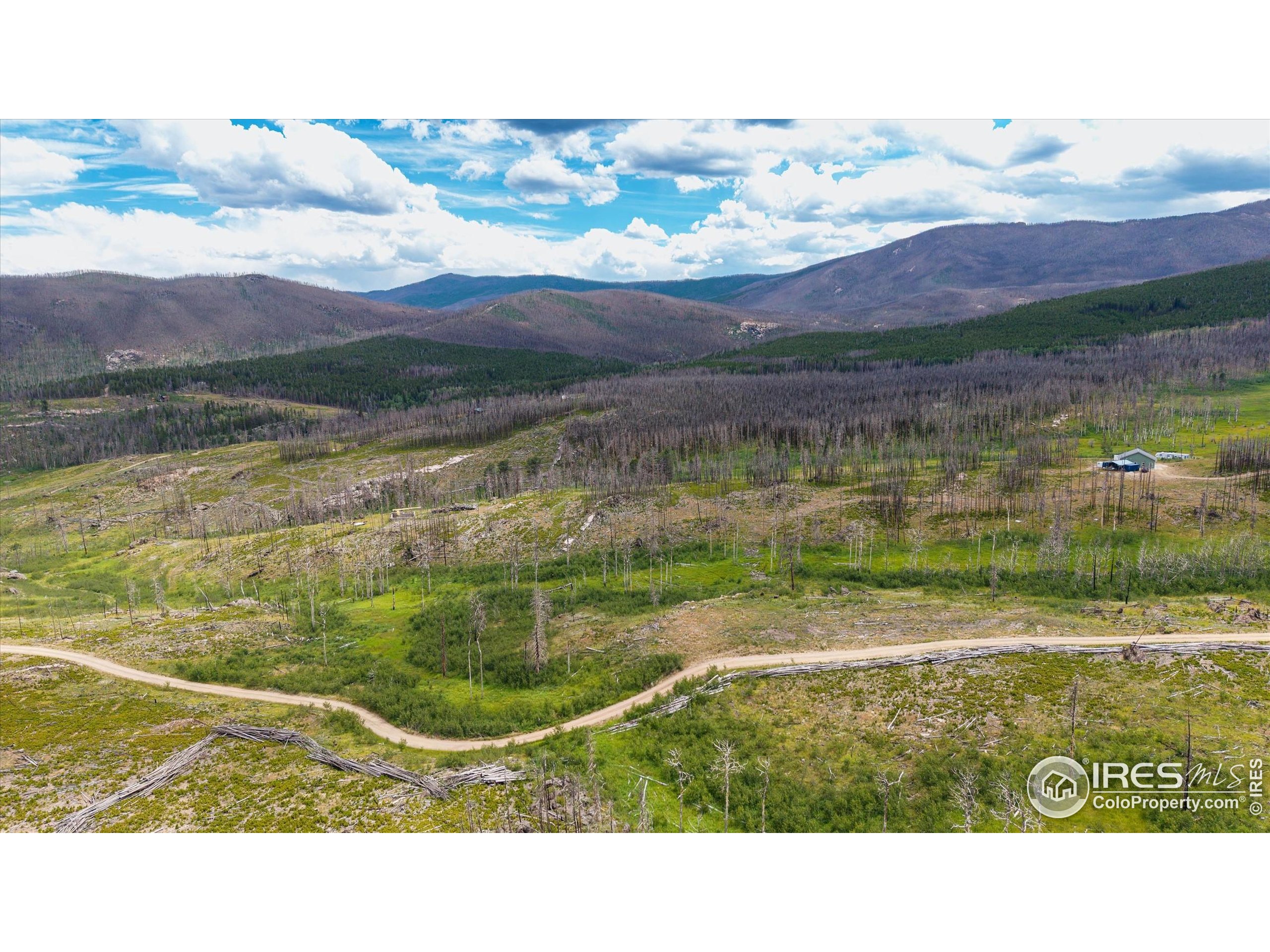529 Quartz Road Bellvue, CO 80512 - Photo 20 of 31 a view of swimming pool with a mountain
