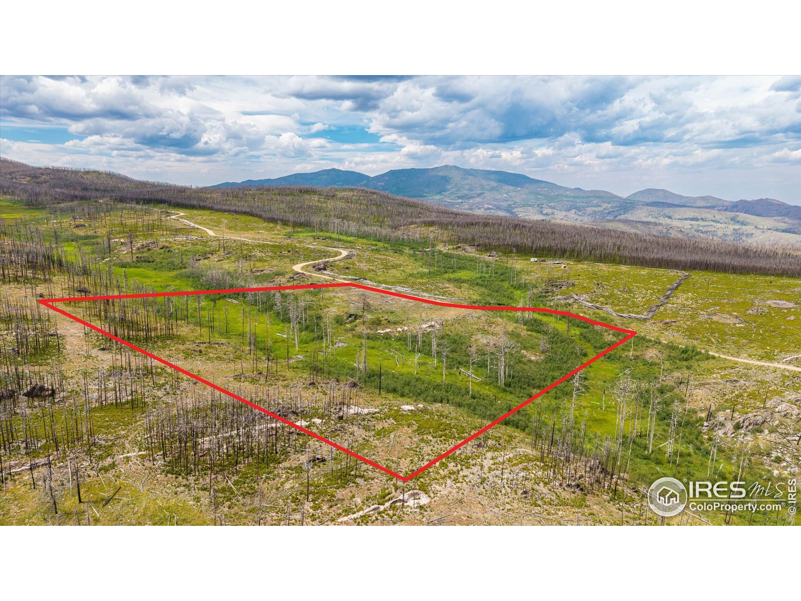 529 Quartz Road Bellvue, CO 80512 - Photo 25 of 31 a view of an ocean and beach