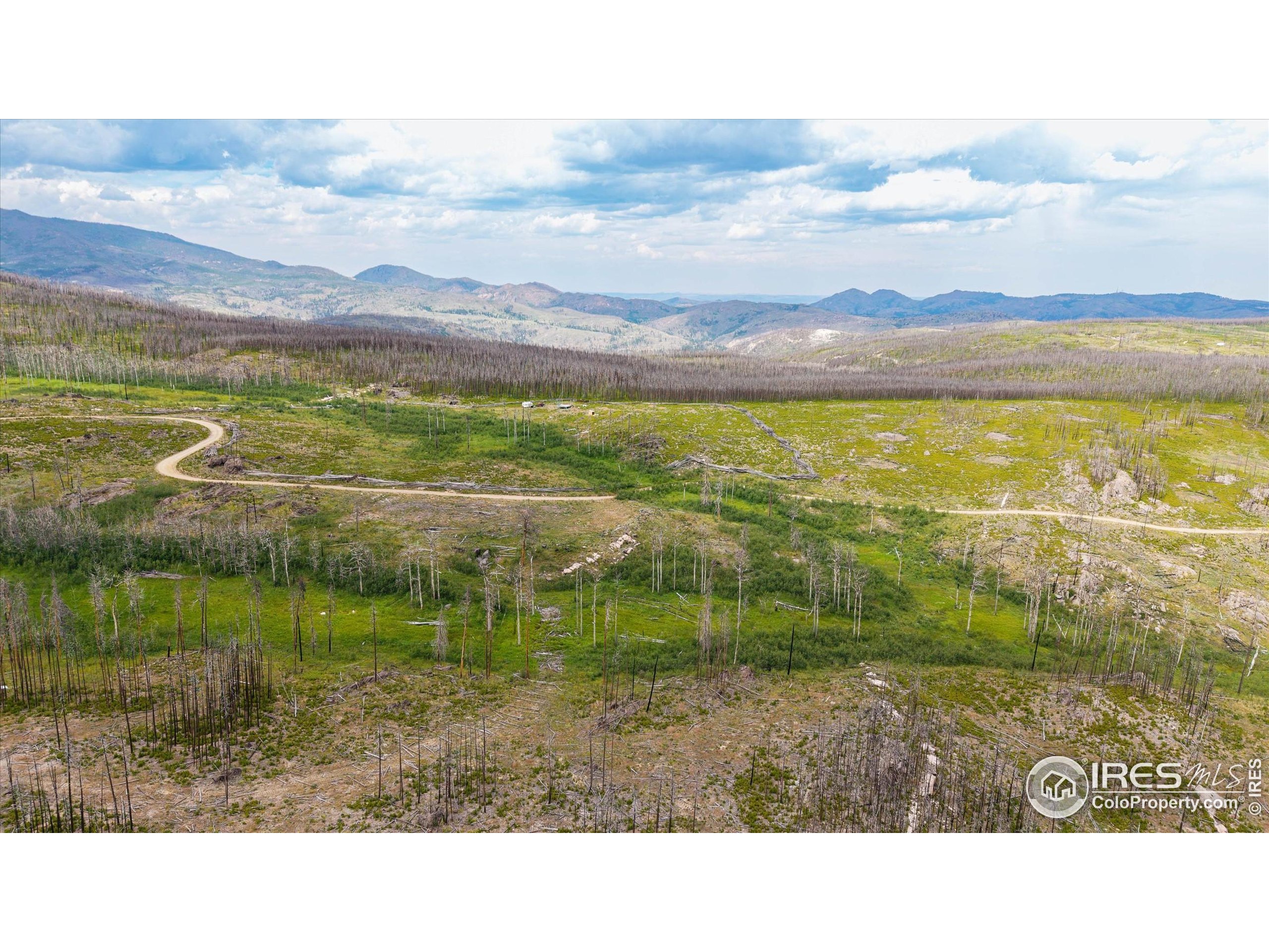 529 Quartz Road Bellvue, CO 80512 - Photo 26 of 31 a view of an outdoor space and mountain view