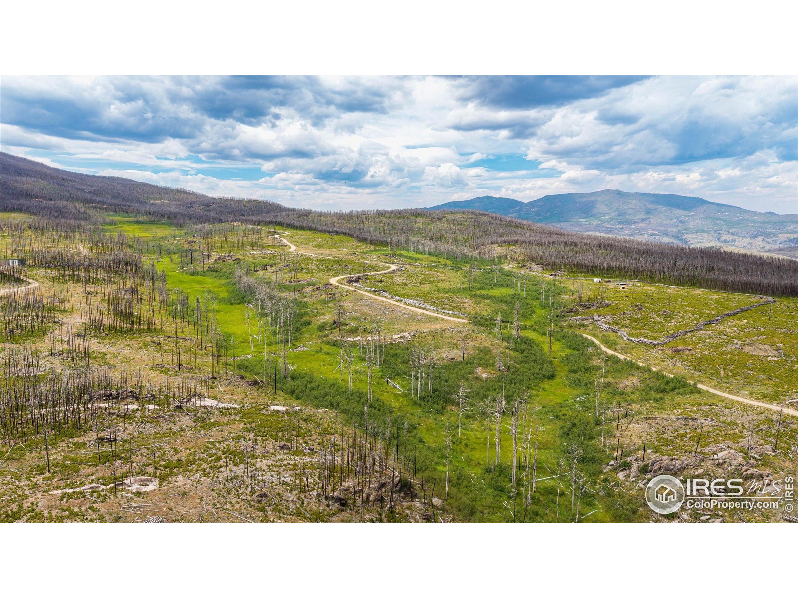 529 Quartz Road Bellvue, CO 80512 - Photo 28 of 31 a view of an ocean