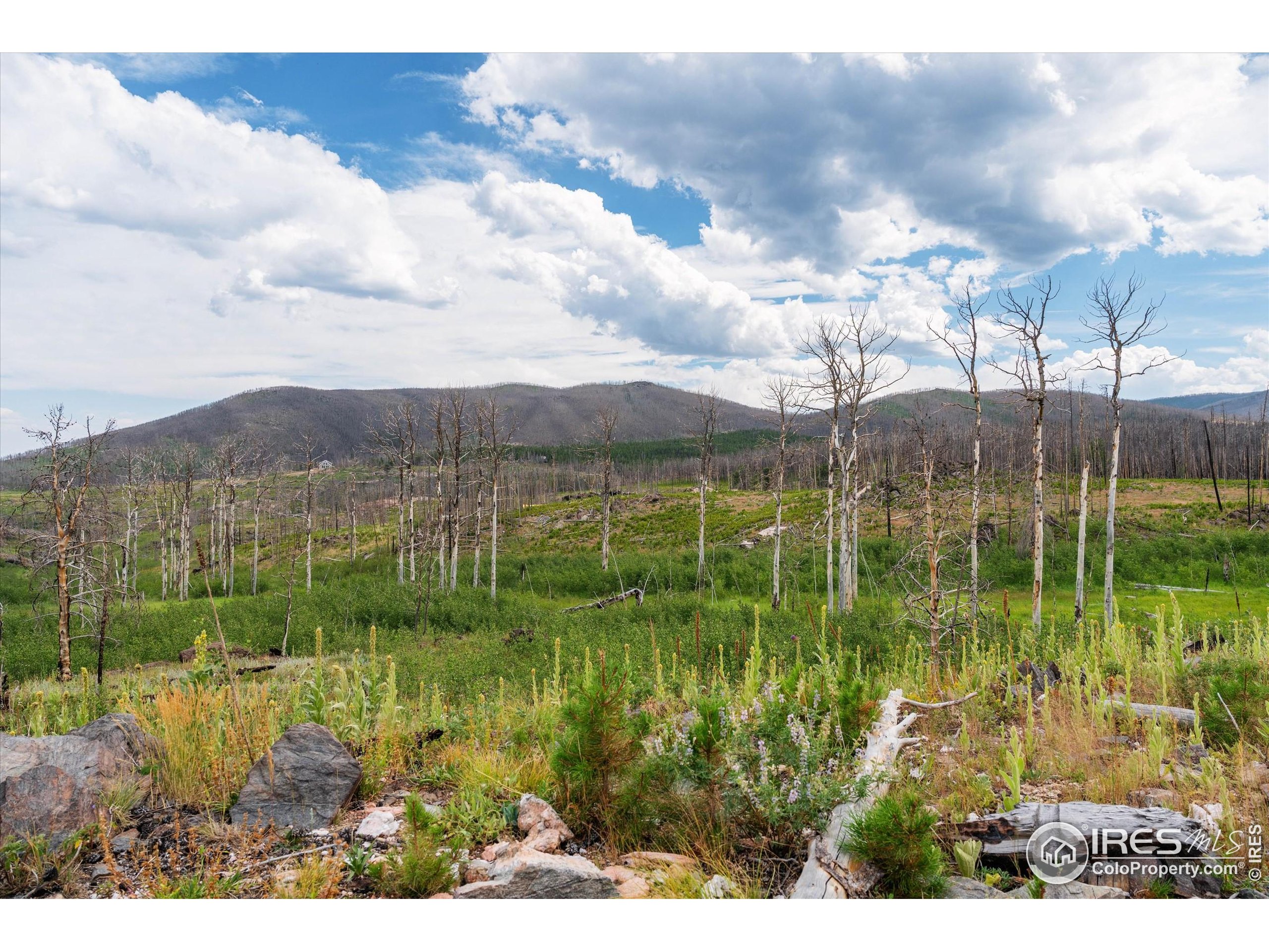 529 Quartz Road Bellvue, CO 80512 - Photo 3 of 31 a view of a lake view
