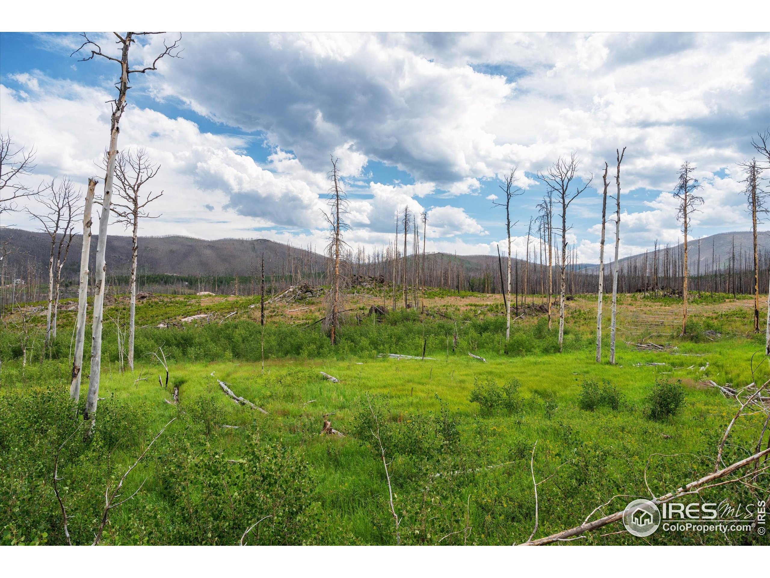 529 Quartz Road Bellvue, CO 80512 - Photo 6 of 31 a view of a park