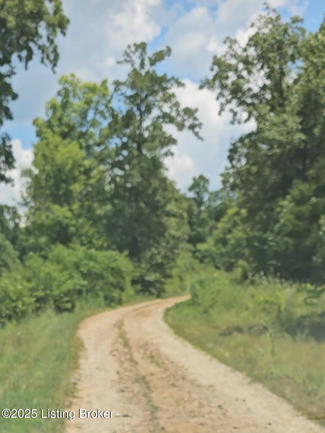 0 Blain Cannon Road Falls Of Rough, KY 40119 - Photo 15 of 25 123_1