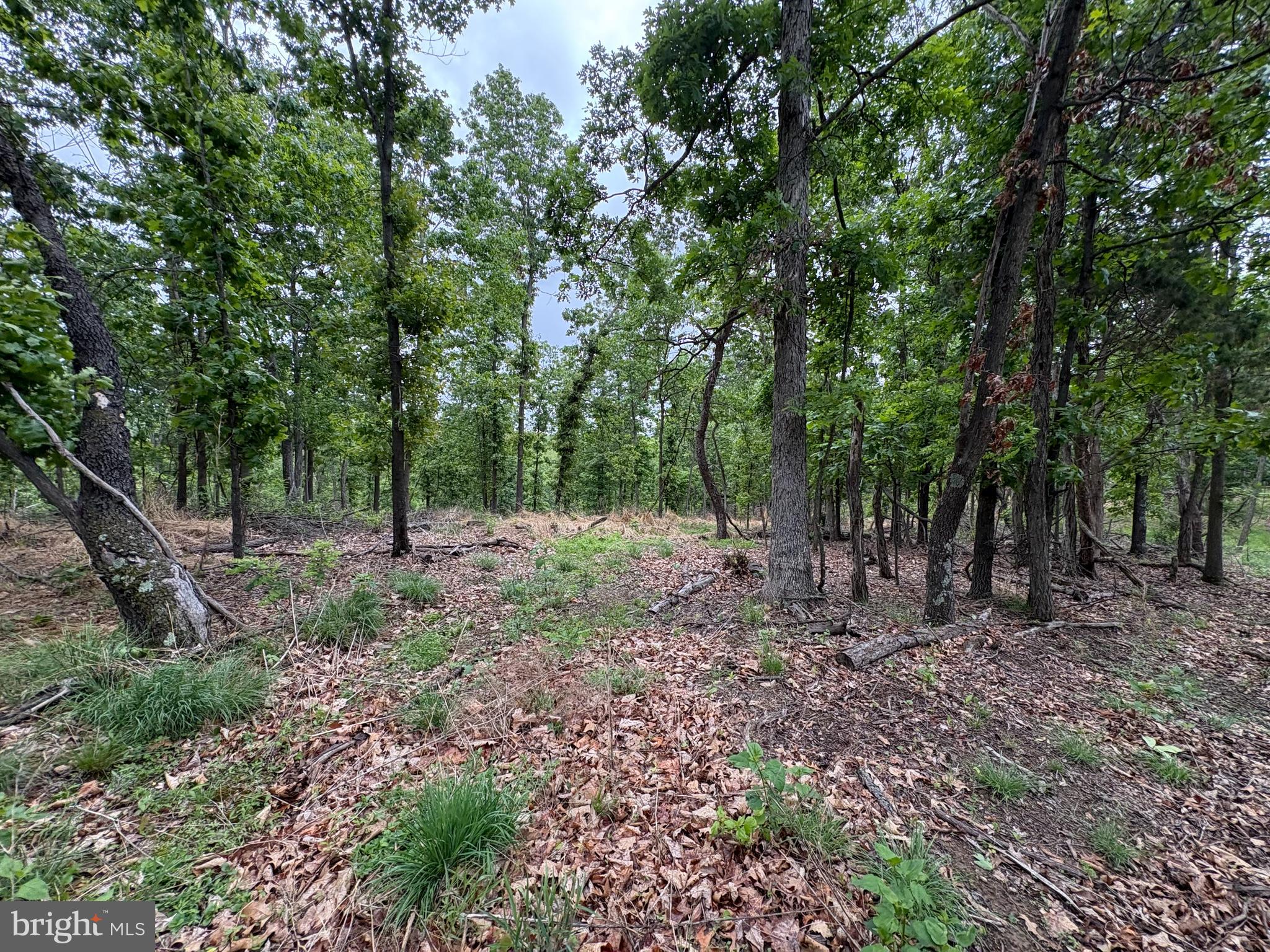 40.15-ac Middle Ridge Road Burlington, WV 26710 - Photo 27 of 47