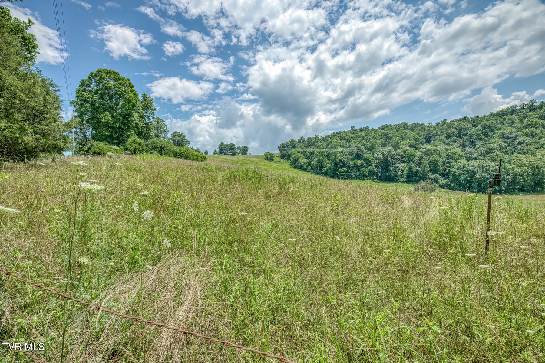 2083 Bundren Mountain Road Tazewell, TN 37879 - Photo 17 of 42 2083 Bundren Mountain Rd-34