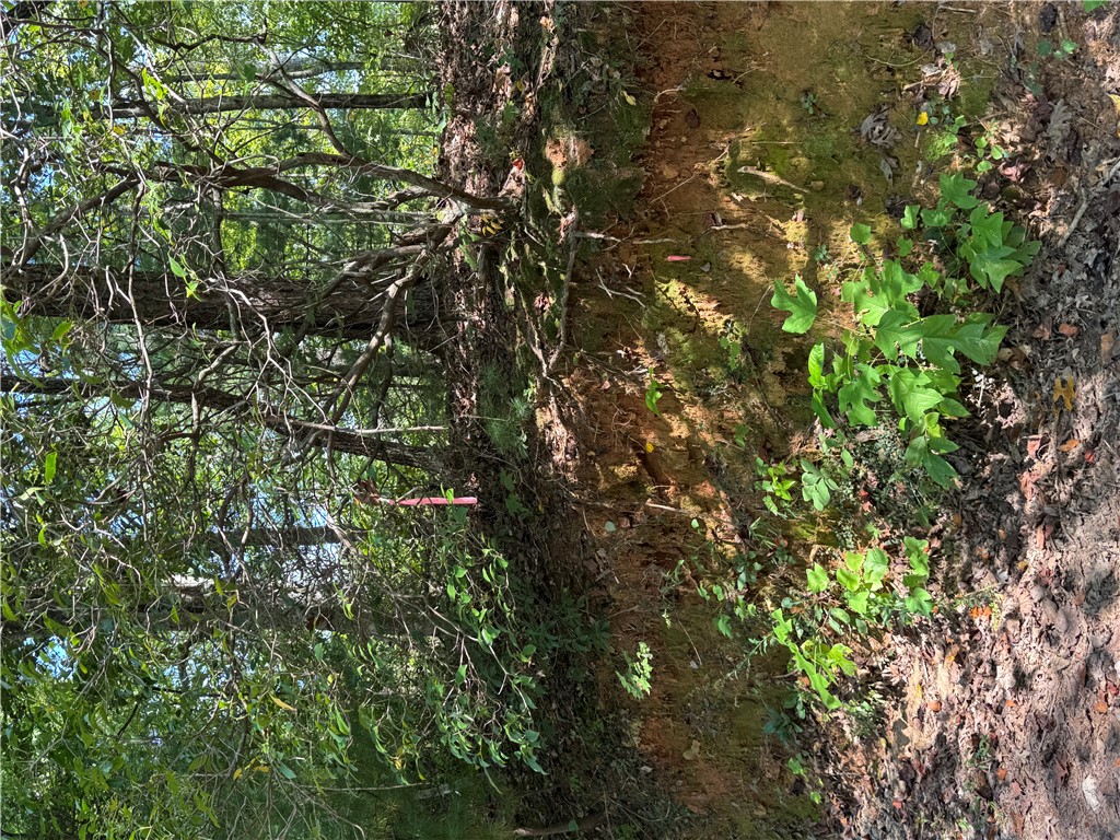 191 Duncan Mountain Trail Sunset, SC 29685 - Photo 12 of 26