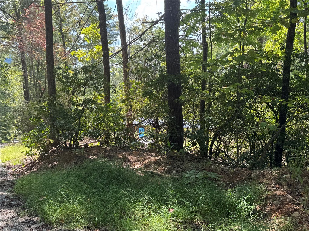 191 Duncan Mountain Trail Sunset, SC 29685 - Photo 13 of 26