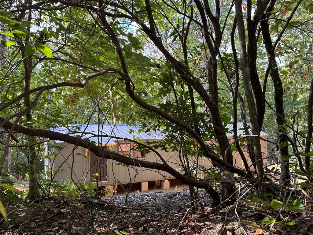 191 Duncan Mountain Trail Sunset, SC 29685 - Photo 14 of 26