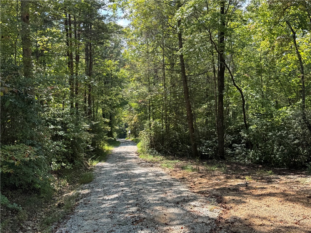 191 Duncan Mountain Trail Sunset, SC 29685 - Photo 16 of 26
