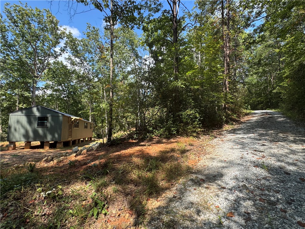 191 Duncan Mountain Trail Sunset, SC 29685 - Photo 17 of 26